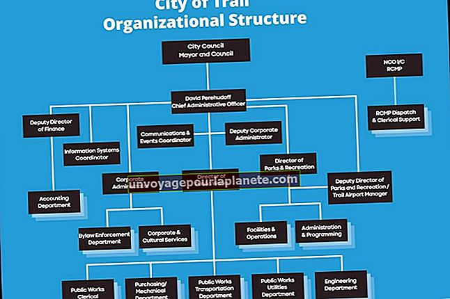 Estrutura Organizacional Divisional