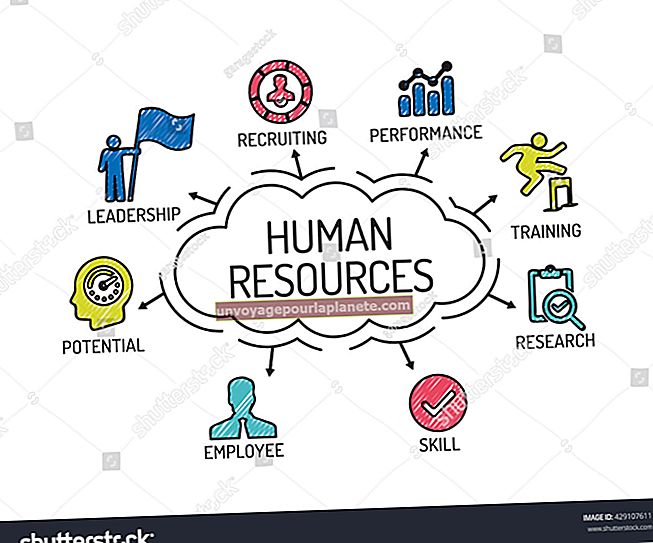 Quines són les funcions de la nòmina i dels recursos humans?